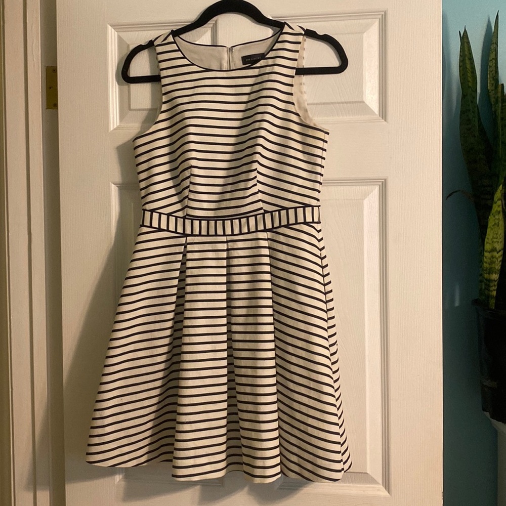 The limited striped dress